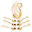 Swan Base Holder Innovative Gold Smoother Edges 2