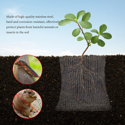Stainless Steel Root Protection Baskets, Mesh Baskets for Plants (45x40cm) 2