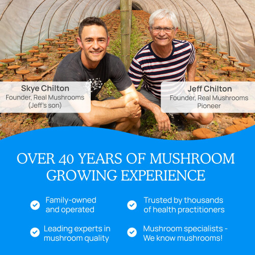 Real Mushrooms Daily Dawg Mushroom Extract Powder Support - (2.65 oz) 2