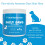 Real Mushrooms Daily Dawg Mushroom Extract Powder Support - (2.65 oz) 8
