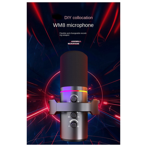 Dynamic Microphone XLR Connect 48V Sound Card Recording 2