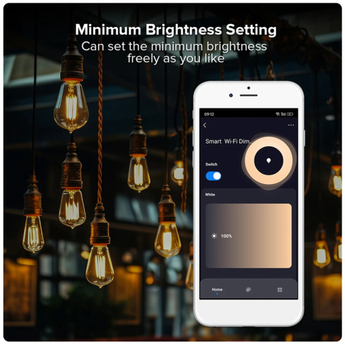 Tuya WiFi Smart Triac Dimmer LED Controller APP Remote Control B 2