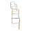 12 Rung Fixed Agility Ladder Speed Training Ladder 9