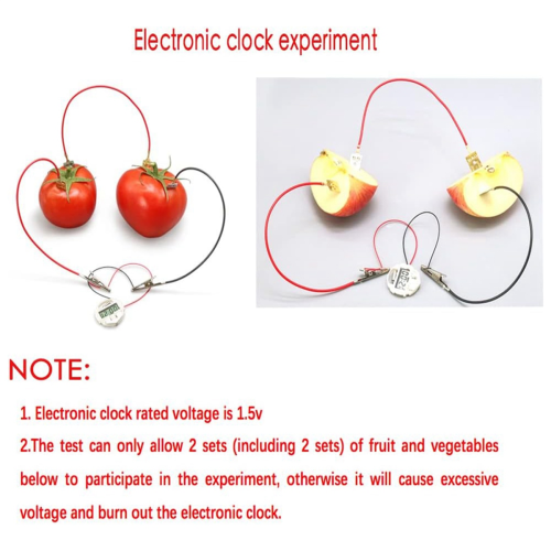 Fruitbatterij wetenschapsexperimentset voor thuisonderwijs, 6 sets 2