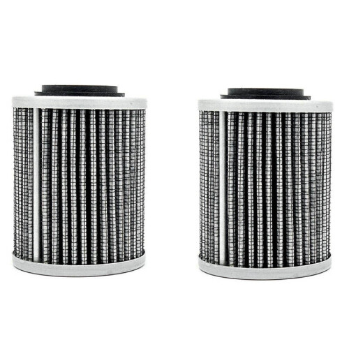 2 st 420956124 oljefilter för 2017 Expedition LE