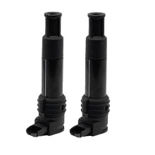 Kit bobina di accensione 2 pezzi 12137715853 7715853-01 per R1100/R1150R/R1200/R1200GS