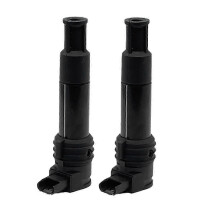 2Pcs 12137715853 Motorrad-Zündspule Kits 7715853-01 für 1100 1150R 1200 R R1200C/R1200Gs R115-Gute