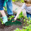 Seedling sowing tool, seeder, hand tool for garden, yard, greenhouse 2