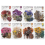 Set de autocolante cu tema Flori presate (320 buc.) Dri 6