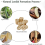 Πλάτος 4-6 cm, 100 τεμάχια ανά παρτίδα, Φυσικές φέτες λούφας για DIY κατασκευές 3