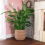 Seagrass Flower Pot - Woven Plant Decorative Baske 7