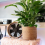 Seagrass Flower Pot - Woven Plant Decorative Baske 5