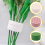 Flower Stem Support Reliable Spiral Ikebana Holder 3