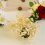 Indhold: 12 stk. Mini runde blomsterskumsholder, Grøn, Tør og 8
