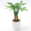 Mini Soil Moisture Meter Metal Probe Gardening Pla 3