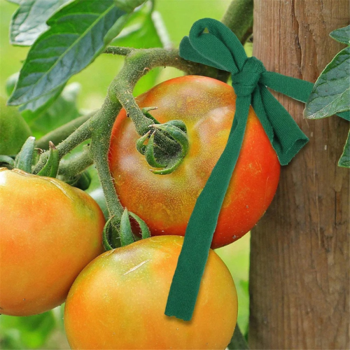 Supporto elastico per piante e alberi in spago da giardino Leani 1