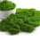 Decoração de Bonsai com Grama Verde Artificial W 7