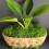 Decoração de Bonsai com Grama Verde Artificial W 4