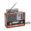 Vintage Radio Solar Retro USB Rechargeable, MP3 Pl 1