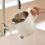 Cuiseur de riz multifonction 3 en 1 pliable Mini T 6