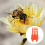 Bee Queen Cap Comb Push-in Cell Protectors Beekeep 11