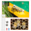 11 Pcs Queen Bee Marking Kit with Bottles Pens Pla 6