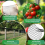 Garden Netting 4x10m,Extra Strong Woven Mesh Bird 5