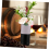 12 stk runde blomsterskumblokker til blomsterarrangementer 9