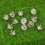 12Pcs Football Boot Studs Shoe Replacement Spikes 4