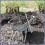 Manure Fork Replacement Head, Pitchfork Horse Rake 5