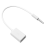 Αρσενικό βύσμα ήχου AUX 3,5 mm σε θηλυκό USB 2.0 C 4