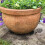 24Pcs Flower Plant Pot Feet Risers Natural Rubber 4