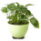 24Pcs Flower Plant Pot Feet Risers Natural Rubber 5