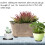24Pcs Flower Plant Pot Feet Risers Natural Rubber 6