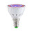 Grow Light Bulb 80 LEDs Full Spectrum Plant Lights 4