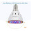 Grow Light Bulb 80 LEDs Full Spectrum Plant Lights 5