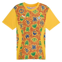 (S) 2024-2025 Ghana Pre-Match SS Jersey (Yellow)