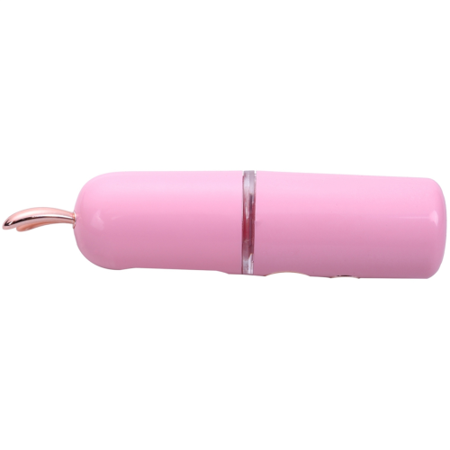 Νέο Mini USB επαναφορτιζόμενο Nano ενυδατικό προσώπου Sprai 2