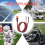 12AWG XT60i Buchse auf O-Ring-Stecker mit verzinntem 6