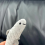 Sardinhas Boneca Pelúcia Peixe Brinquedo Sofá Peludo Decoração 4