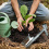 Bulb Planter Tool Stainless Steel, Garden Seedling 9