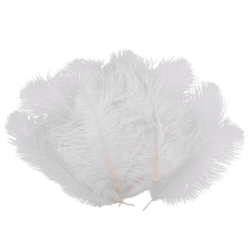 10 stuks witte natuurlijke struisvogel 20-25 cm bruiloft DI