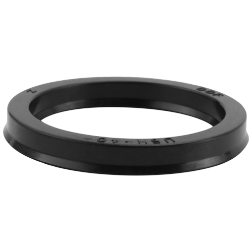 Cilindro idraulico USH 40mm x 50mm 6mm Gomma Olio 2