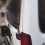 Baklysantenneholder – stativ og monteringsbeslag for 7