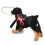 Veiledningsenhet for blinde hunder i sele, Blind Halo, Pet An 6