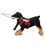 Veiledningsenhet for blinde hunder i sele, Blind Halo, Pet An 9