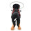 Veiledningsenhet for blinde hunder i sele, Blind Halo, Pet An 5