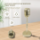 Microfone de mesa vintage cenográfico com Adjusta 5