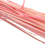 60Pcs Fall Dried Flowers Bunny Lagurus Ovatus Tail 9