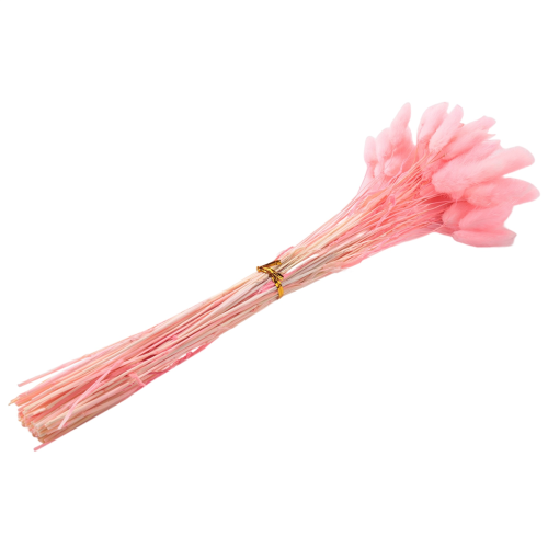 60Pcs Fall Dried Flowers Bunny Lagurus Ovatus Tail